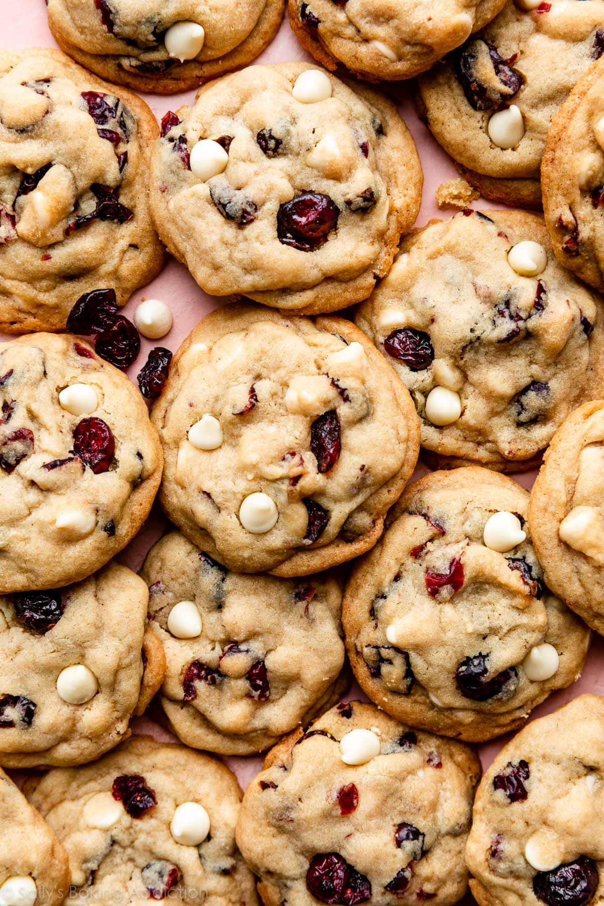 Soft & Chewy Cranberry Cookies: No Extracts, No Raisins!